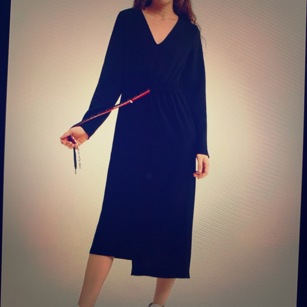 Zara drawstring belt dress